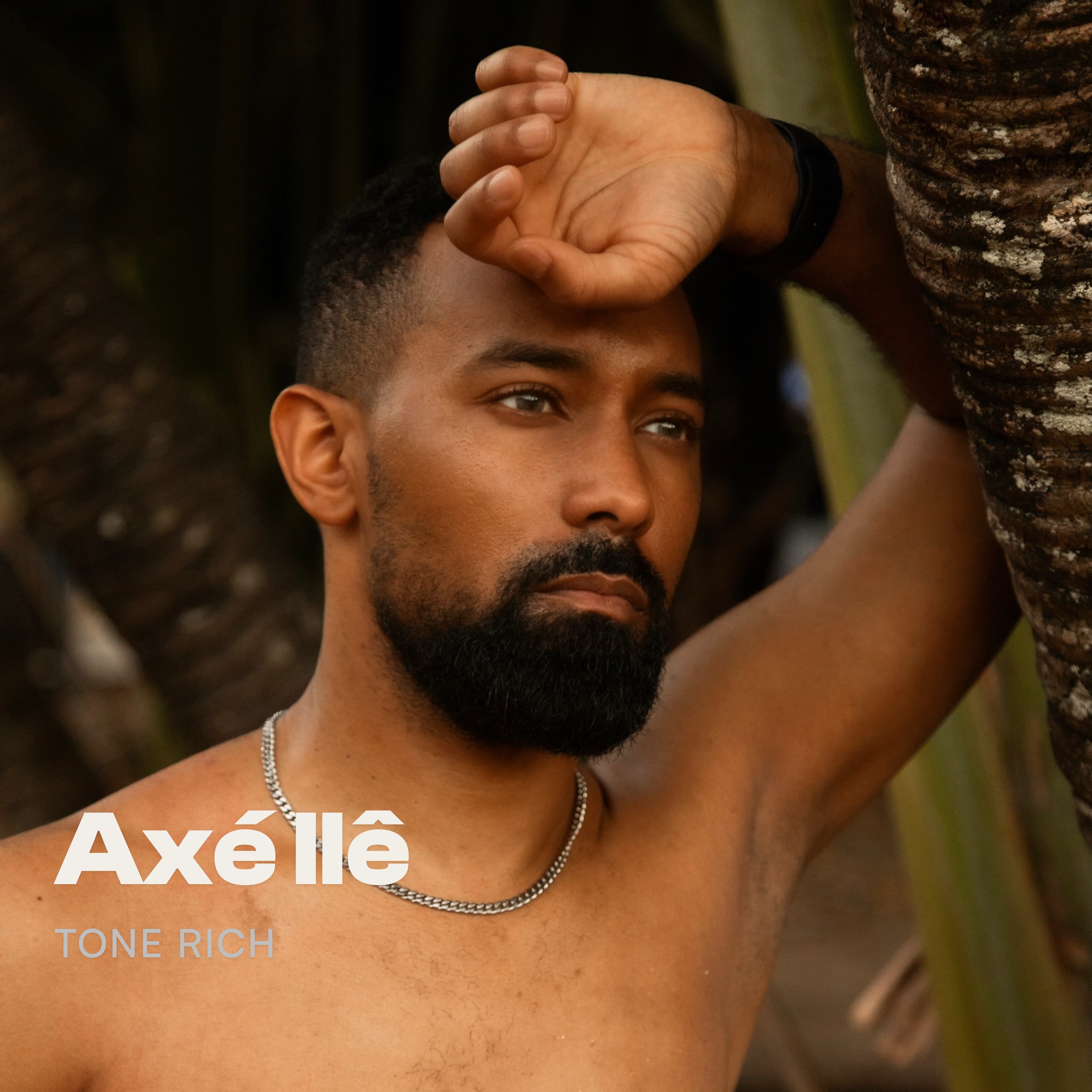 Axé Ilê cover